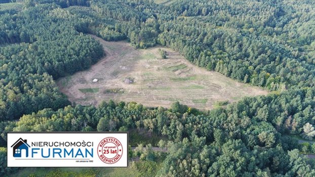 Działka inna na sprzedaż Łagówek 44 700m2 Foto 10