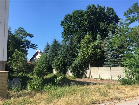 Działka budowlana na sprzedaż Ostrów Wielkopolski, Rej. Limanowskiego 370m2 Foto 2
