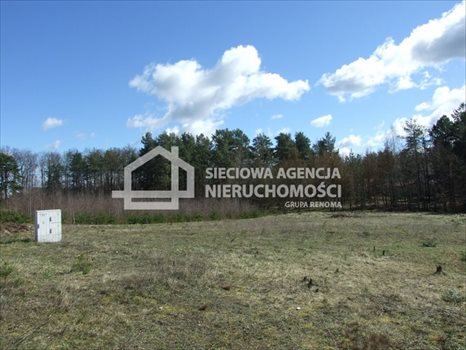 Działka budowlana na sprzedaż Sitno 1 001m2 Foto 1