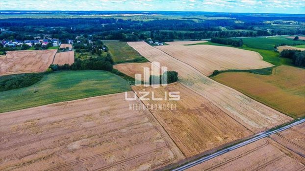 Działka inna na sprzedaż Szpęgawsk, Jezioro, Kościół, Las, Przystanek autobusowy, Szko, brak 38 300m2 Foto 3
