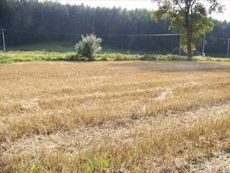 Działka budowlana na sprzedaż Smołdzino, Smołdzino, Kartuska 1 085m2 Foto 10
