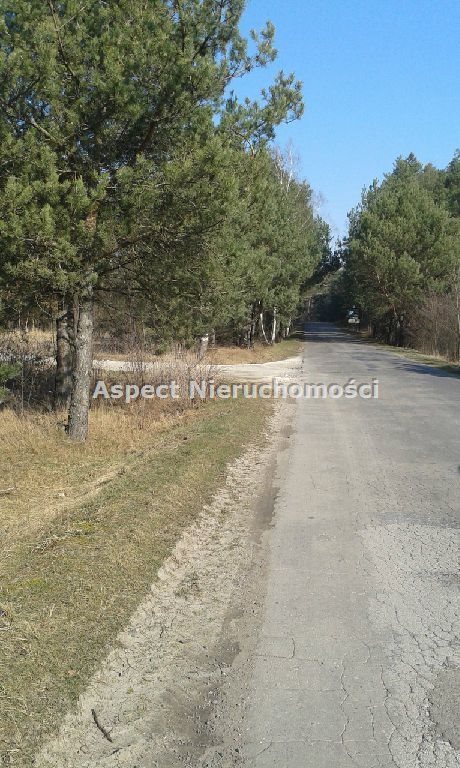 Działka inna na sprzedaż Sędeń Duży 2 600m2 Foto 6