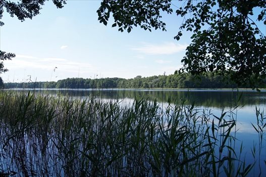 Działka budowlana na sprzedaż Ińsko 73 700m2 Foto 3