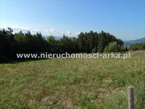 Działka budowlana na sprzedaż Mszana Dolna 7 500m2 Foto 7