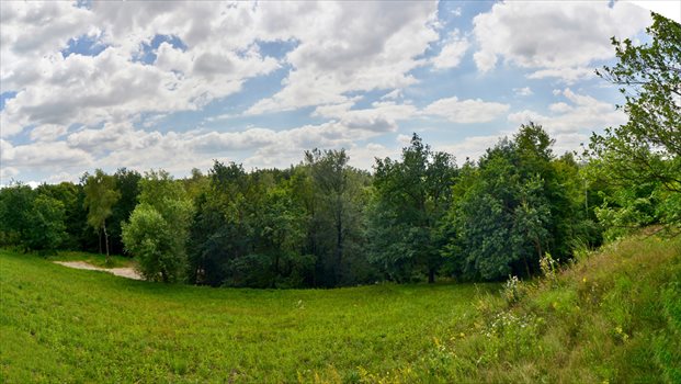 Działka rolna na sprzedaż Grębynice 51m2 Foto 6