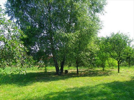 Działka budowlana na sprzedaż Jasło 5 533m2 Foto 3