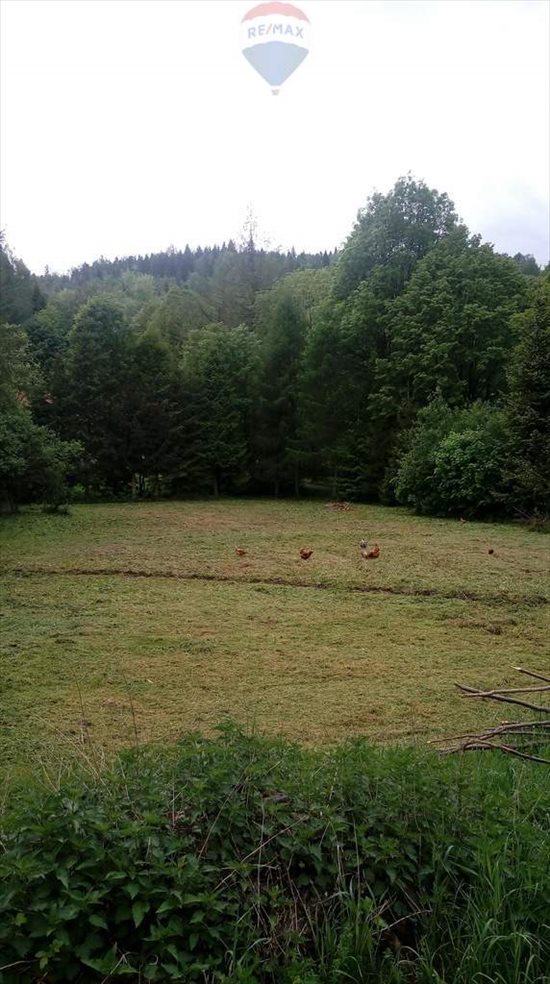 Działka budowlana na sprzedaż Jeleśnia 42 000m2 Foto 1