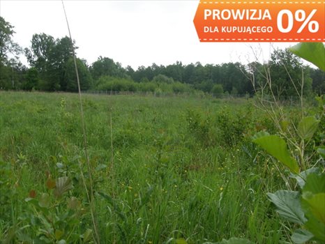 Działka budowlana na sprzedaż Warszawa, Wawer, Fromborska 1 259m2 Foto 3