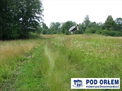 Działka rolna na sprzedaż Pietrzykowice 3 943m2 Foto 9