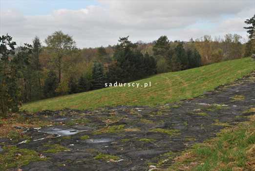 Działka budowlana na sprzedaż Siercza 4 700m2 Foto 10