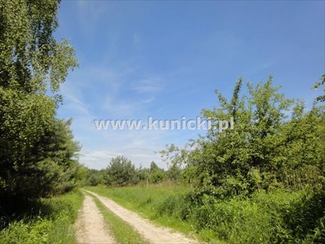 Działka inna na sprzedaż Łoś, Polna 1 200m2 Foto 5