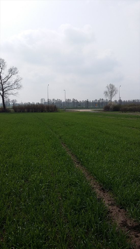 Działka inwestycyjna na sprzedaż Cieśle, Cieśle 26 300m2 Foto 3