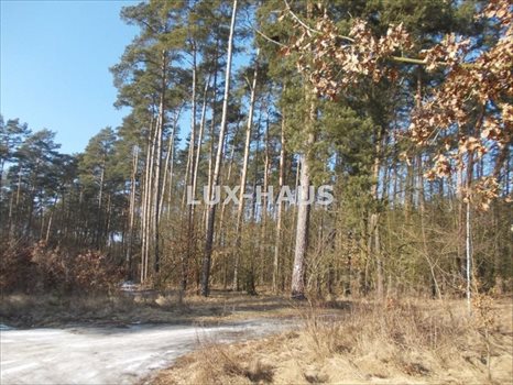 Działka budowlana na sprzedaż Bydgoszcz, Opławiec 2 150m2 Foto 5