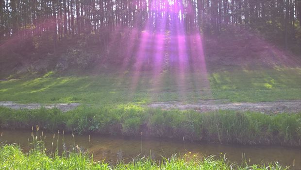 Działka budowlana na sprzedaż Bory Tucholskie, Nad Rzeką, Duże Krówno 47 4 973m2 Foto 3