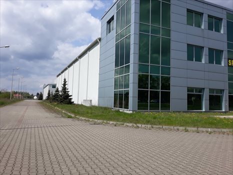 Lokal użytkowy na wynajem Kielce 1 780m2 Foto 3