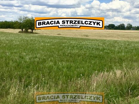 Działka rolna na sprzedaż Trzepowo 6 000m2 Foto 6