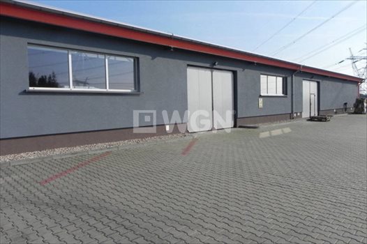 Lokal użytkowy na sprzedaż Ostrów Wielkopolski, Wysocko Wielkie, Wylotowa 1 234m2 Foto 3