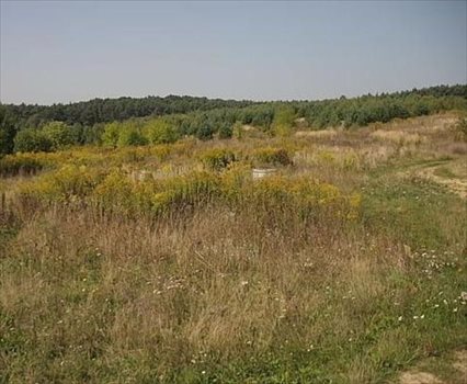 Działka budowlana na sprzedaż Poznań, Stare Miasto, Morasko, Morenowa 1 500m2 Foto 11