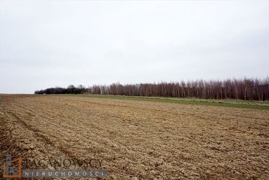Działka rolna na sprzedaż Januszowice 10 200m2 Foto 4