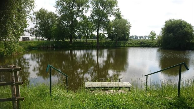 Działka komercyjna na sprzedaż Borek Strzeliński 67 600m2 Foto 8