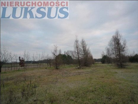Działka budowlana pod dzierżawę Biały Ług, Biały Ług 12 300m2 Foto 12