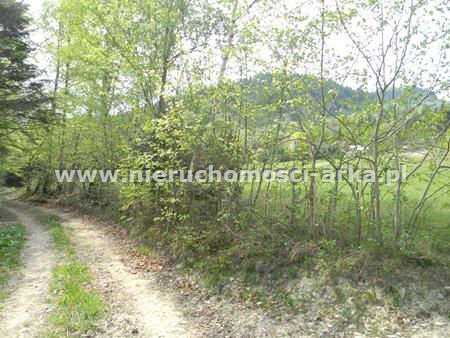 Działka budowlana na sprzedaż Pisarzowa 2 100m2 Foto 8