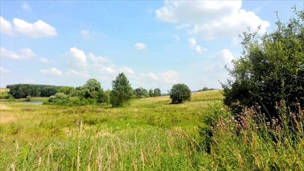 Działka rolna na sprzedaż Zabagnie 5 459m2 Foto 2