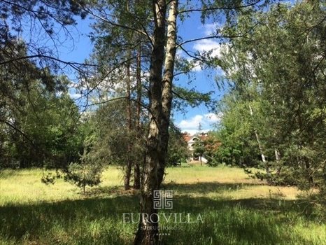 Działka budowlana na sprzedaż Konstancin-Jeziorna 4 000m2 Foto 1
