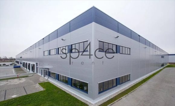 Lokal użytkowy na wynajem Zgorzelec 30 250m2 Foto 4