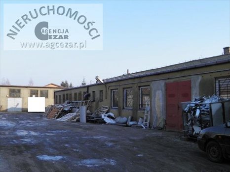 Lokal użytkowy na sprzedaż Mińsk Mazowiecki 1 330m2 Foto 1