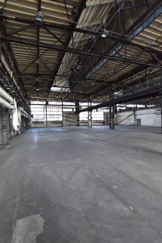 Lokal użytkowy na wynajem Białystok, Starosielce 7 276m2 Foto 8