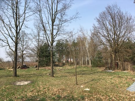 Dom na sprzedaż Stasi Las 115m2 Foto 10