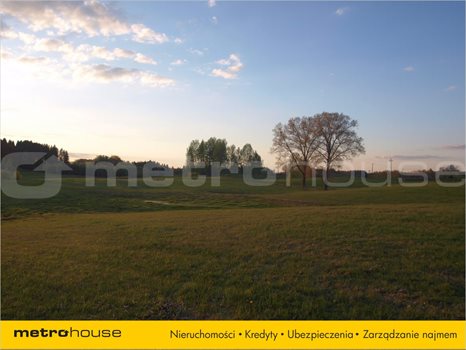 Działka rolna na sprzedaż Łomy, Jonkowo 3 001m2 Foto 2