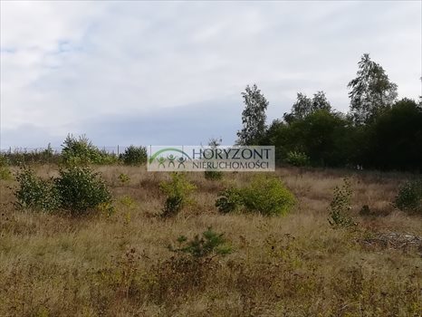 Działka budowlana na sprzedaż Bojano 3 932m2 Foto 7