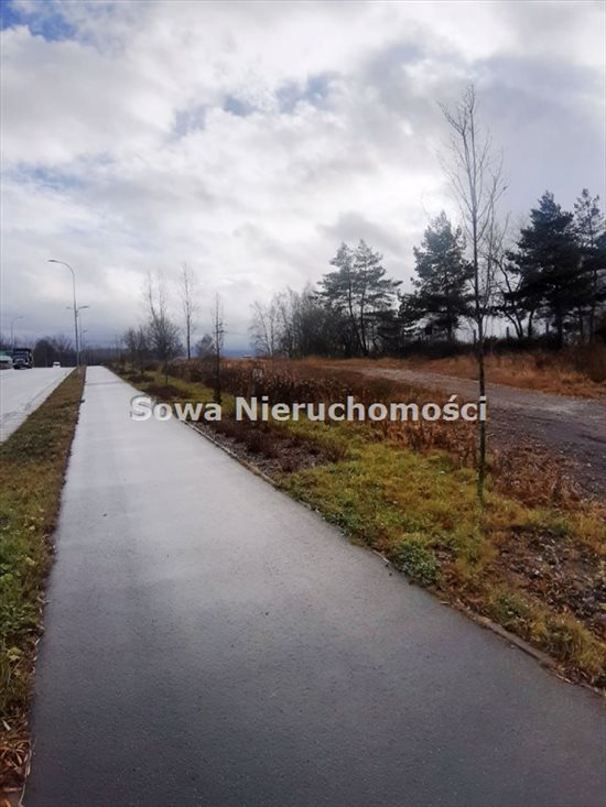 Działka inna na sprzedaż Wałbrzych, Biały Kamień 1 300m2 Foto 6