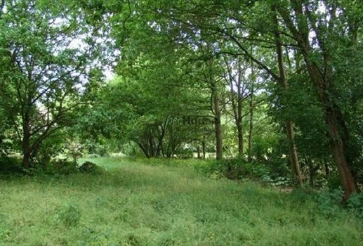 Działka budowlana na sprzedaż Puszczykowo 1 215m2 Foto 2