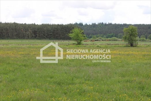 Działka budowlana na sprzedaż Lubowidz 1 066m2 Foto 7