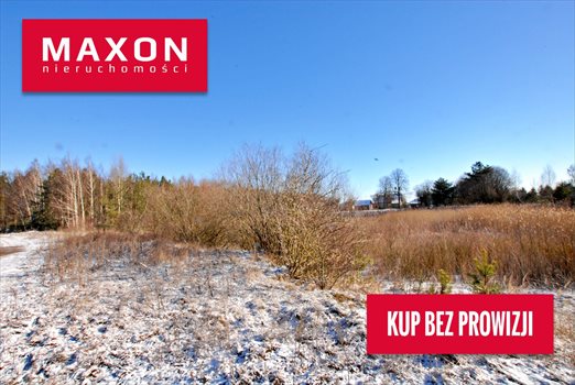Działka inwestycyjna na sprzedaż Żabiczyn 16 027m2 Foto 1