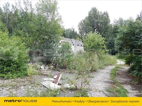 Działka inna na sprzedaż Janów, Chełm 41 200m2 Foto 3