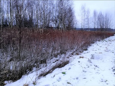 Działka inwestycyjna na sprzedaż Zwierzyniec, Zwierzyniec, Zwierzyniec 17 000m2 Foto 7