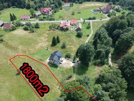 Działka budowlana na sprzedaż Pewel Wielka 1 800m2 Foto 2