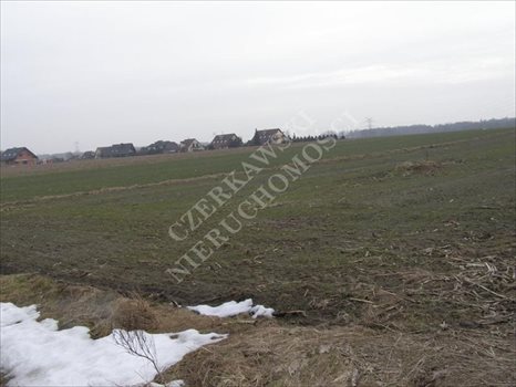 Działka inna na sprzedaż Gliwice, Brzezinka 5 591m2 Foto 2