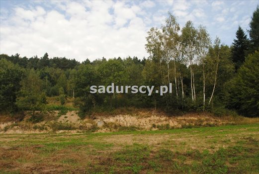 Działka budowlana pod dzierżawę Gosprzydowa 50 000m2 Foto 11
