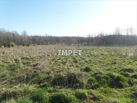 Działka inna na sprzedaż Mała Wieś Dolna 5 100m2 Foto 4