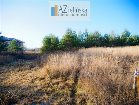 Działka budowlana na sprzedaż Poznań, Morasko, Jaśkowiaka, Radojewo, Morasko 1 450m2 Foto 5