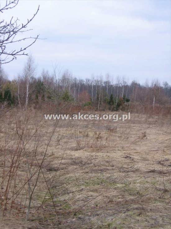 Działka budowlana na sprzedaż Nowe Racibory 1 117m2 Foto 5