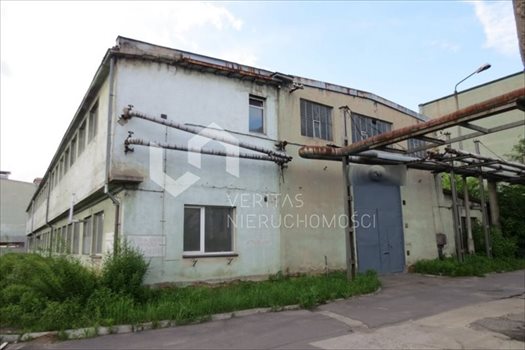 Lokal użytkowy na sprzedaż Gliwice 1 460m2 Foto 9