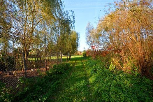 Działka budowlana na sprzedaż Ostrów 2 565m2 Foto 2