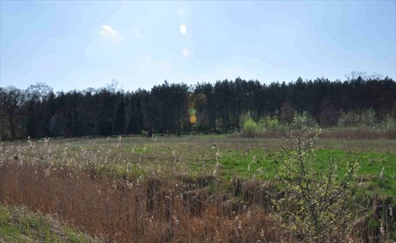 Działka budowlana na sprzedaż Sanniki, Osiedle Karino, Wagowo, Kostrzyn 1 444m2 Foto 5