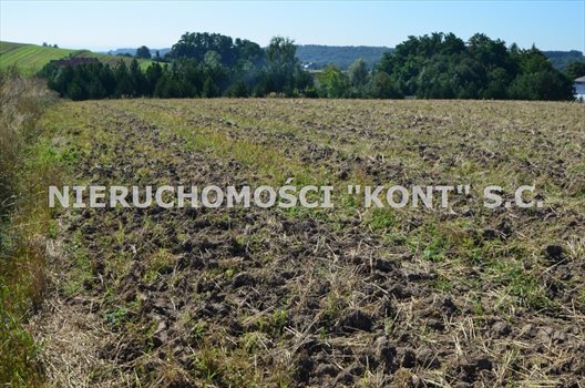 Działka budowlana na sprzedaż Michałowice, Dąbrowskich 1 200m2 Foto 3